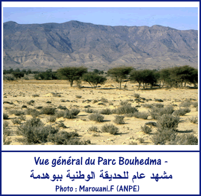 Vue-G-Parc-Bouhedma_r2_c2.gif