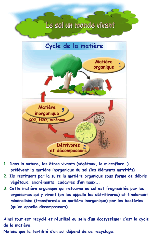 Cycle Matiere Fr